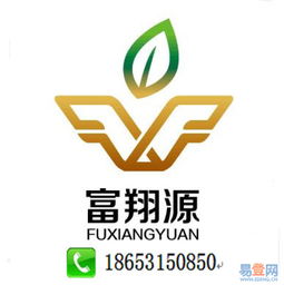 濟(jì)南公司代理記賬服務(wù)詳解 歷城區(qū)洪家樓易登網(wǎng)與知識產(chǎn)權(quán)代理的協(xié)同優(yōu)勢